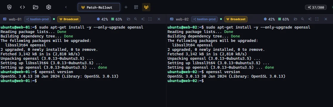Vier Terminalbereiche mit aktivem Broadcast, alle führen dasselbe openssl-Upgrade aus