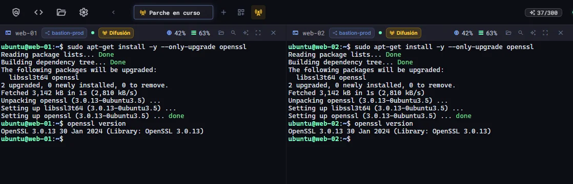 Cuatro paneles de terminal con difusión activada ejecutando la misma actualización de openssl
