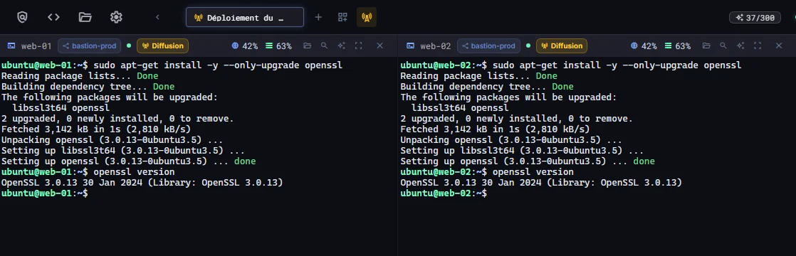 Quatre volets de terminal en saisie diffusée, exécutant la même mise à jour d'openssl