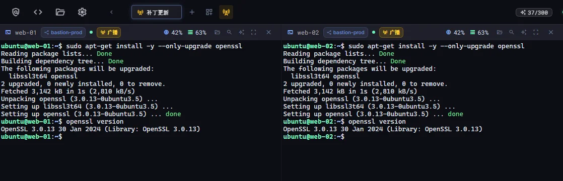 四个开启了广播的终端窗格，同时执行相同的 openssl 升级